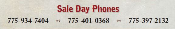 Sale Day Phones