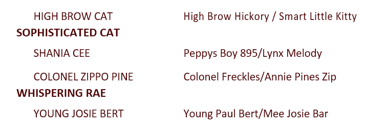 RS JP Colonels BlackCatt Pedigree